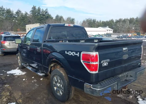 2010 Ford F-150 Fx4/Harley-Davidson/Lariat/Xl/Xlt z USA, uszkodzony, nr VIN 1FTFW1EV3AFB21316